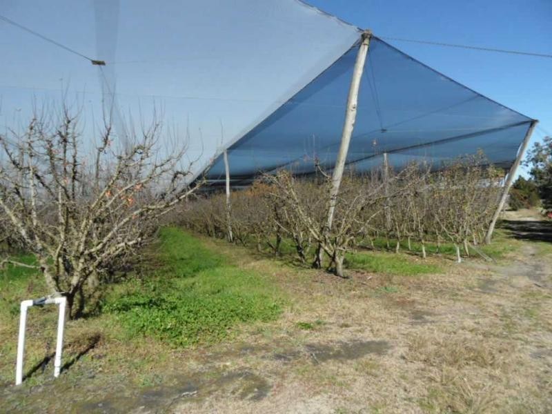 2667 Amiens Road, Pozieres, Stanthorpe QLD 4380