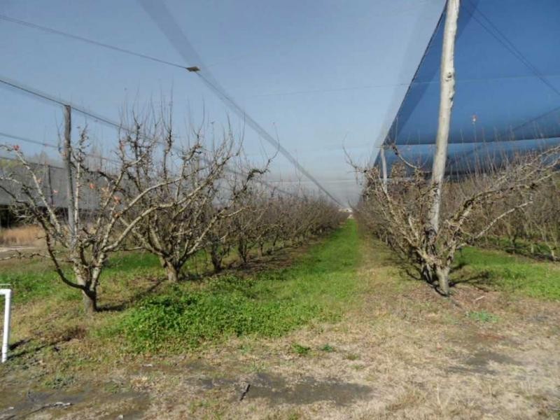 2667 Amiens Road, Pozieres, Stanthorpe QLD 4380