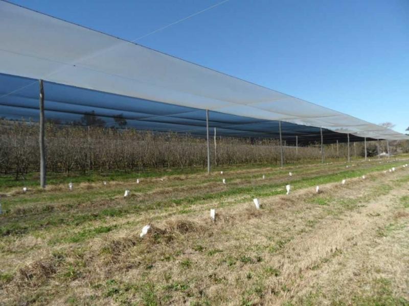 2667 Amiens Road, Pozieres, Stanthorpe QLD 4380