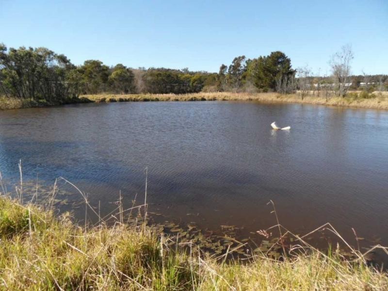 2667 Amiens Road, Pozieres, Stanthorpe QLD 4380