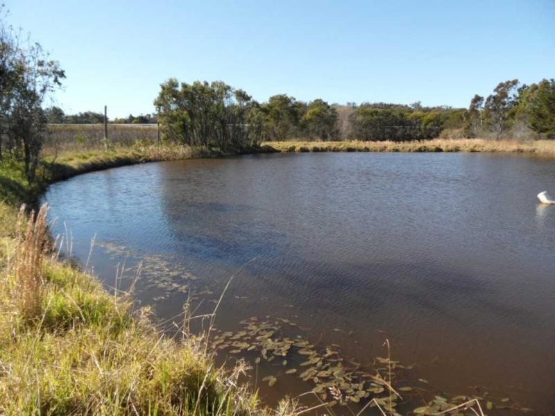 2667 Amiens Road, Pozieres, Stanthorpe QLD 4380