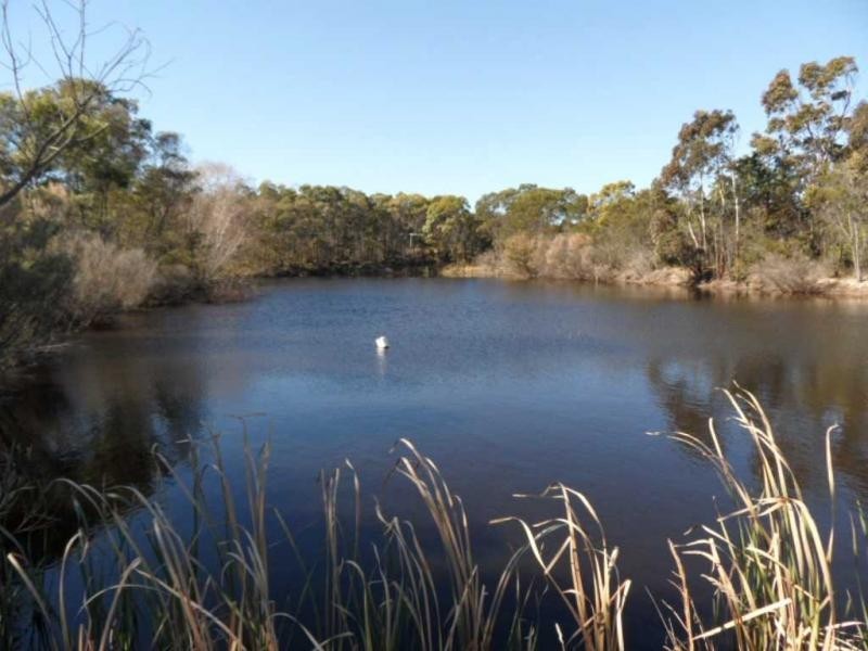 2667 Amiens Road, Pozieres, Stanthorpe QLD 4380