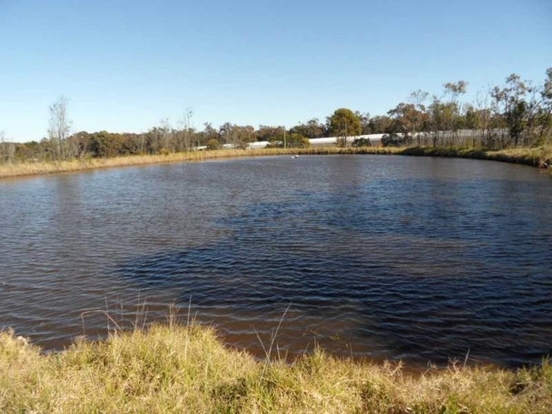 2667 Amiens Road, Pozieres, Stanthorpe QLD 4380