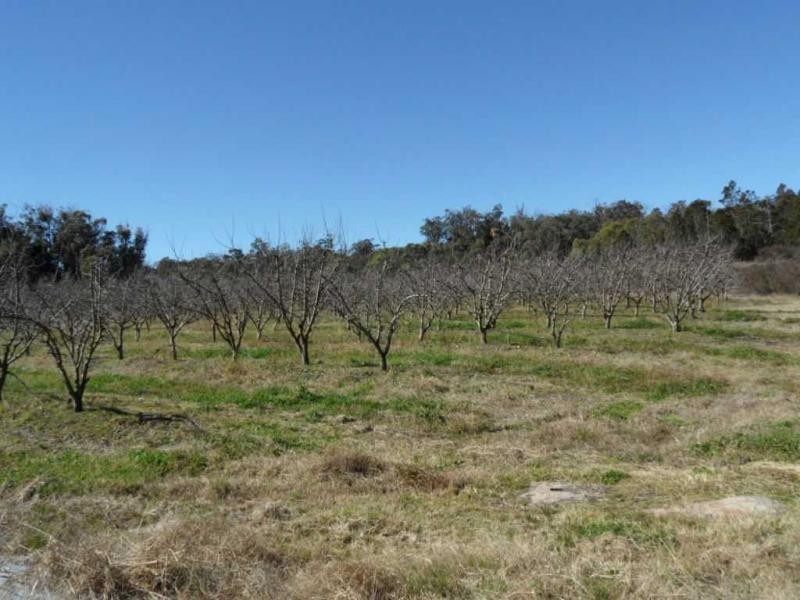 2667 Amiens Road, Pozieres, Stanthorpe QLD 4380