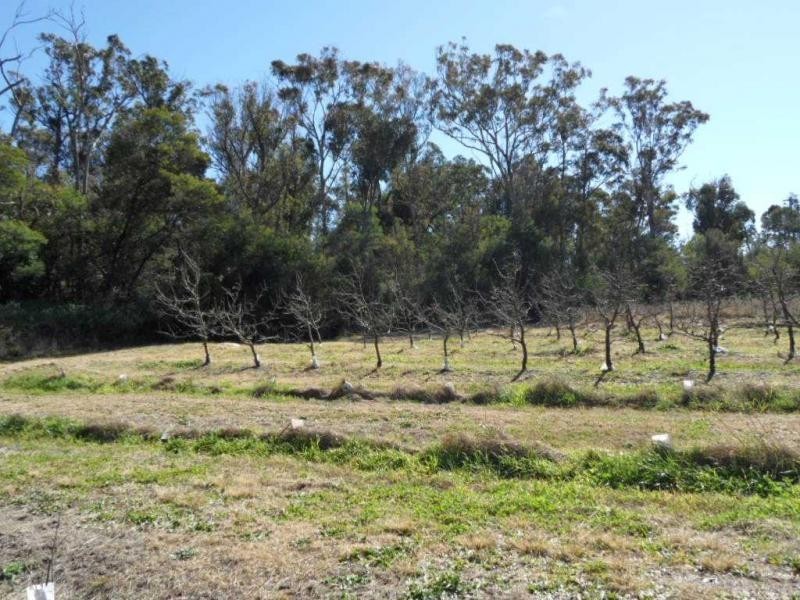 2667 Amiens Road, Pozieres, Stanthorpe QLD 4380