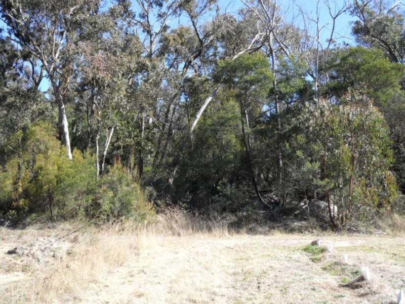 2667 Amiens Road, Pozieres, Stanthorpe QLD 4380