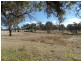 314 Wylie Creek Road, Liston Stanthorpe, Liston NSW 2372