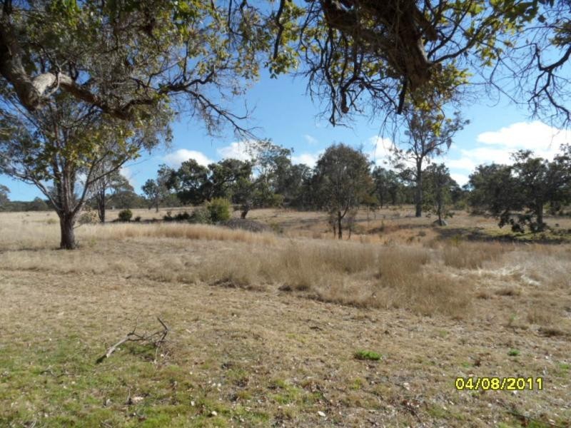 314 Wylie Creek Road, Liston Stanthorpe, Liston NSW 2372