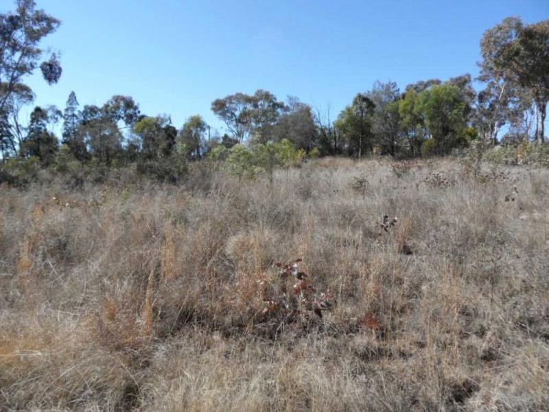 Stanthorpe QLD 4380