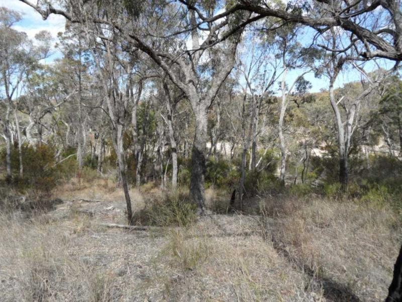 Lot 2 Rapisarda Lane, Somme, Stanthorpe QLD 4380