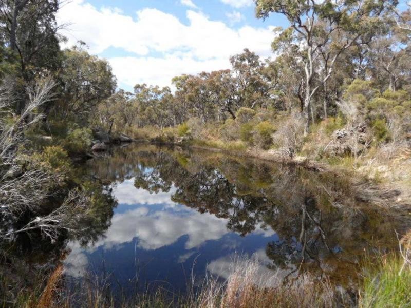 Lot 2 Rapisarda Lane, Somme, Stanthorpe QLD 4380
