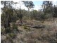 Lot 2 Rapisarda Lane, Somme, Stanthorpe QLD 4380
