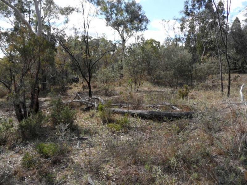 Lot 2 Rapisarda Lane, Somme, Stanthorpe QLD 4380