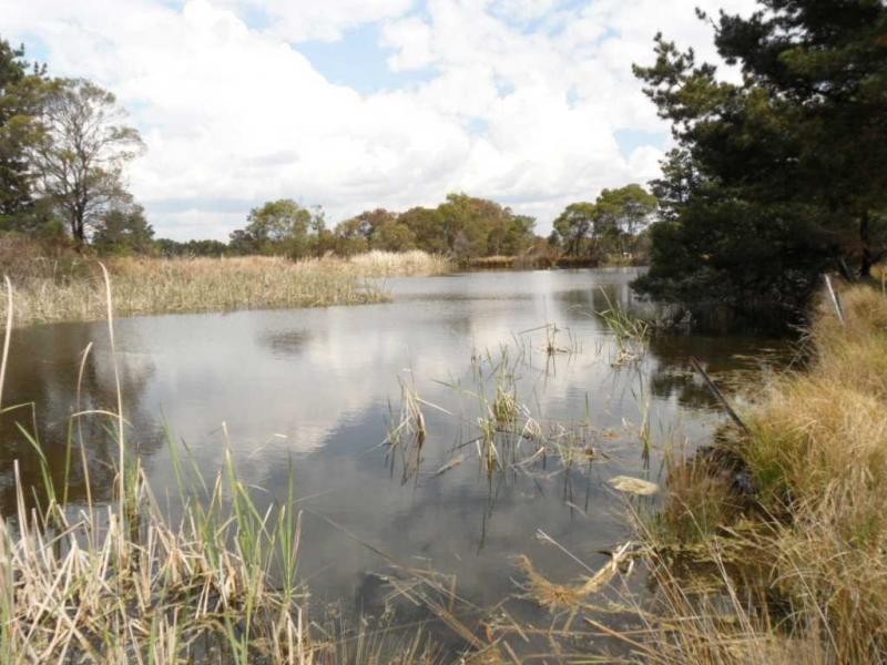 41 Caulley Lane, The Summit, Stanthorpe QLD 4380