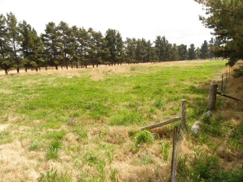 41 Caulley Lane, The Summit, Stanthorpe QLD 4380