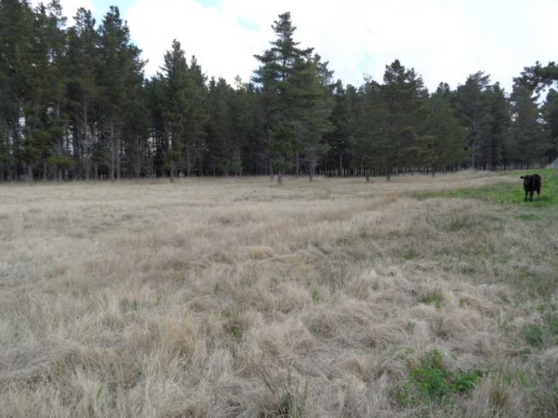 L49 Scuderi Lane, Severnlea, Stanthorpe QLD 4380