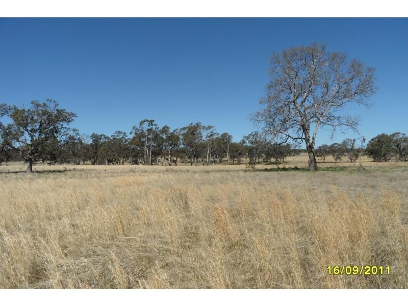 01 Maryland Station Road, The Summit, Stanthorpe QLD 4380