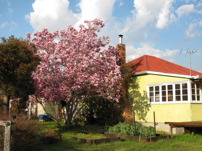 381 Back Creek Road, Severnlea, Stanthorpe QLD 4380