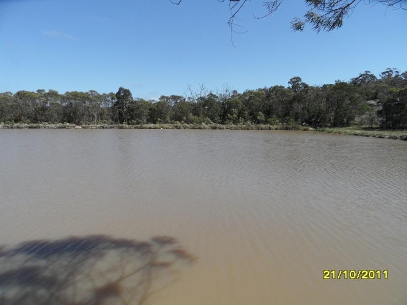 120 Pradella Road, Pozieres, Stanthorpe QLD 4380