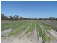 120 Pradella Road, Pozieres, Stanthorpe QLD 4380