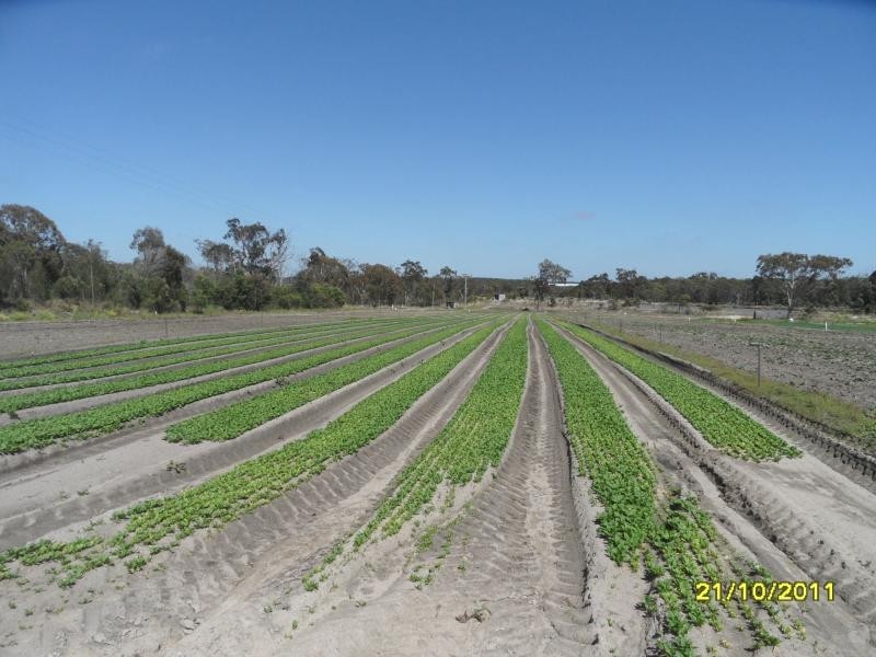 120 Pradella Road, Pozieres, Stanthorpe QLD 4380