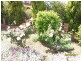 14 Torrisi Terrace, Stanthorpe, Stanthorpe QLD 4380