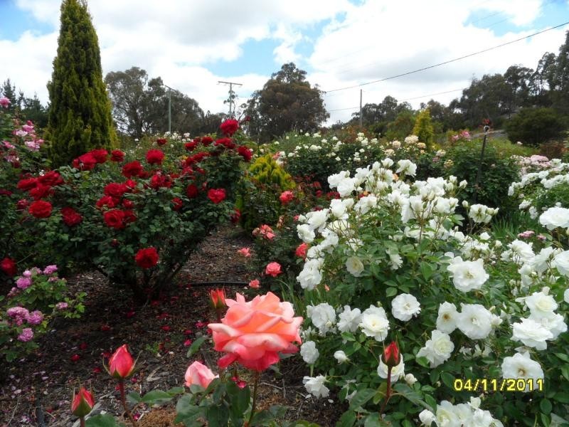 8 Brunckhorst Avenue, Stanthorpe, Stanthorpe QLD 4380