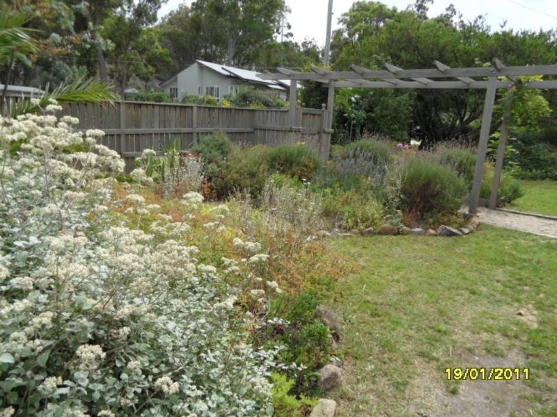 22 Jardine Street, Stanthorpe, Stanthorpe QLD 4380