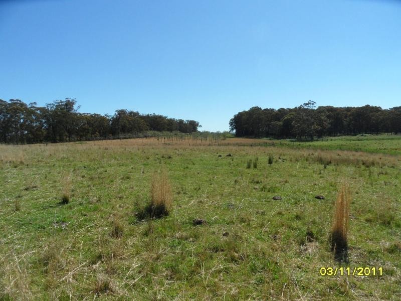 Lot 5 Rivertree Road, Liston, Stanthorpe QLD 4380