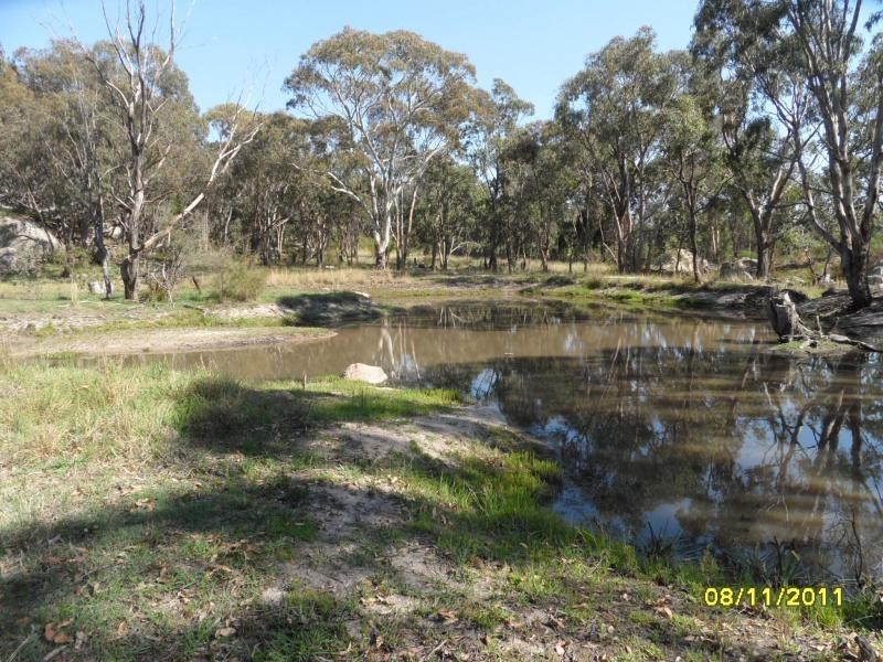 849 Amiens Road, Stanthorpe, Stanthorpe QLD 4380