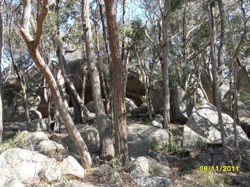 849 Amiens Road, Stanthorpe, Stanthorpe QLD 4380