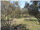 849 Amiens Road, Stanthorpe, Stanthorpe QLD 4380