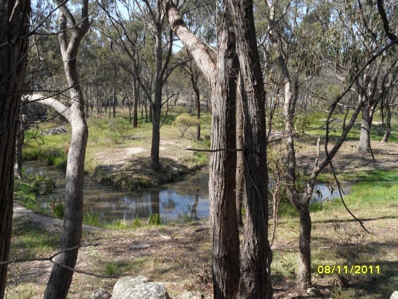 849 Amiens Road, Stanthorpe, Stanthorpe QLD 4380