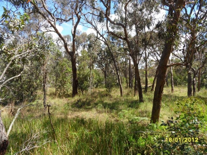 Stanthorpe QLD 4380