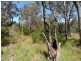 Stanthorpe QLD 4380