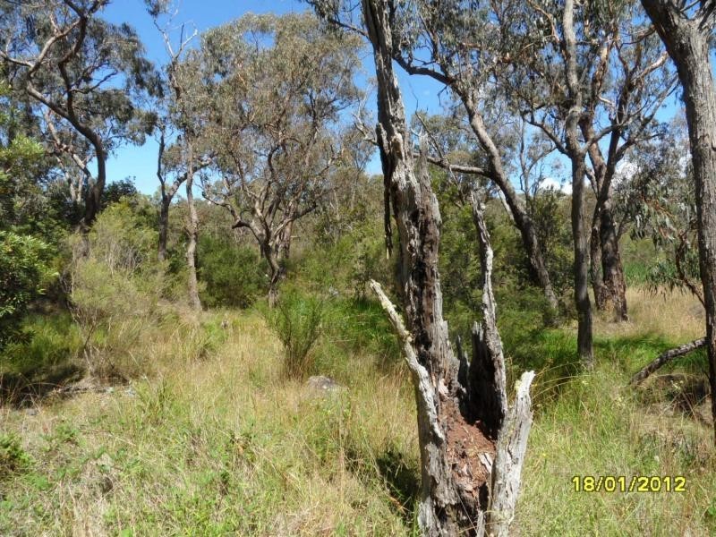 Stanthorpe QLD 4380