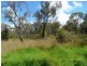 Stanthorpe QLD 4380