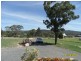 11 Cummerford Road, Glen Aplin, Stanthorpe QLD 4380