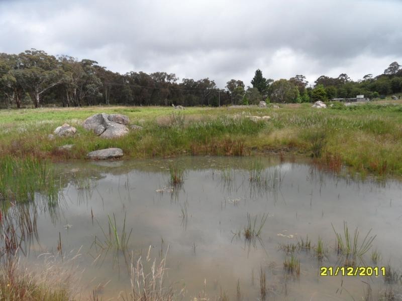 Stanthorpe QLD 4380