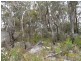 Stanthorpe QLD 4380