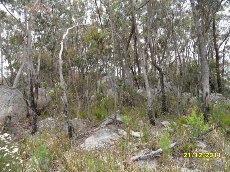 Stanthorpe QLD 4380