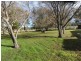 1465 Amiens Road, Amiens, Stanthorpe QLD 4380