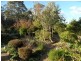 Stanthorpe QLD 4380