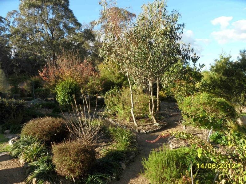 Stanthorpe QLD 4380