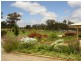 Stanthorpe QLD 4380
