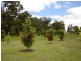 Stanthorpe QLD 4380