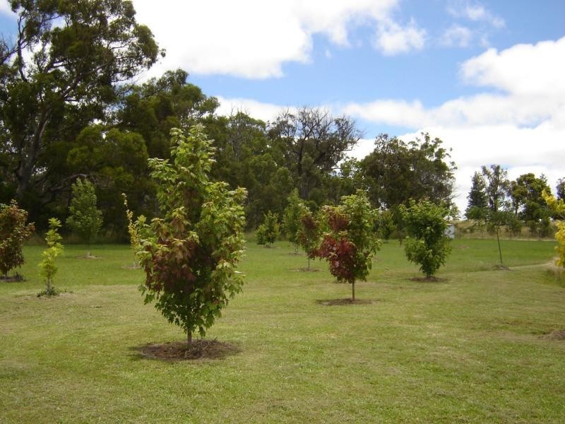 Stanthorpe QLD 4380