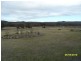 Stanthorpe QLD 4380
