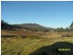 379 Back Creek Road, Severnlea, Stanthorpe QLD 4380