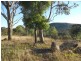 379 Back Creek Road, Severnlea, Stanthorpe QLD 4380